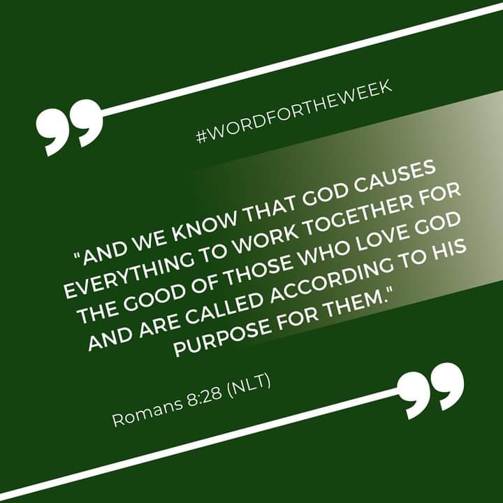 zobafletcher's tweet image. #wordfortheweek