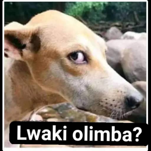 onozack's tweet image. I know no one will retweet this 😥😥