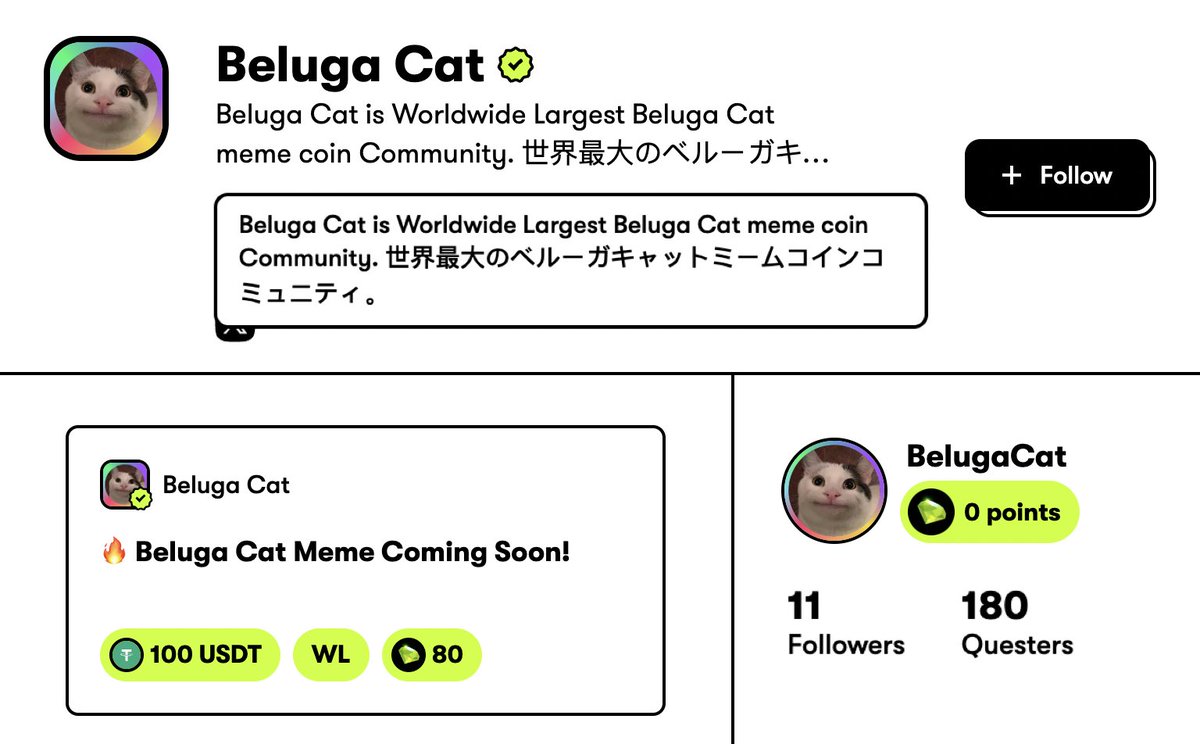 Beluga Cat (@Belugacat_io) / X