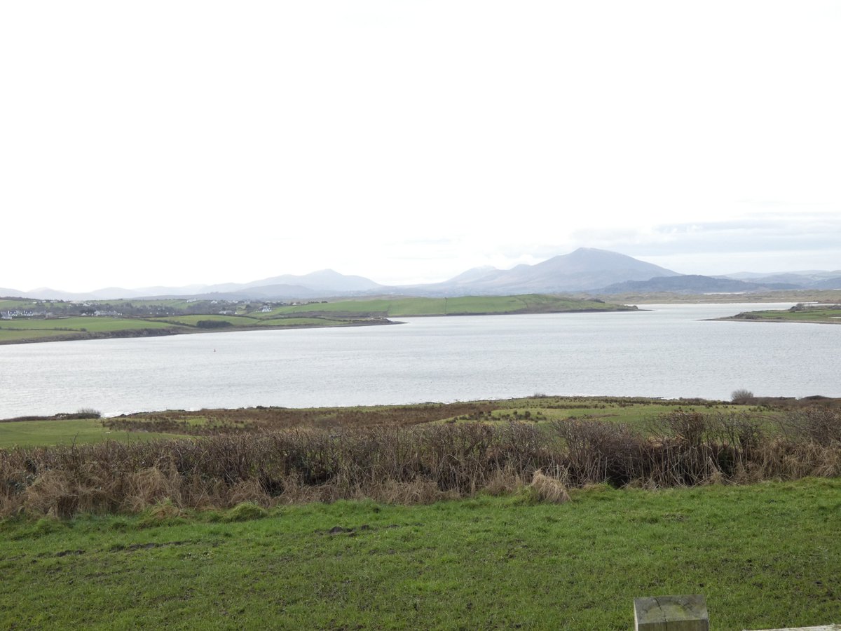 Inish View tweet media