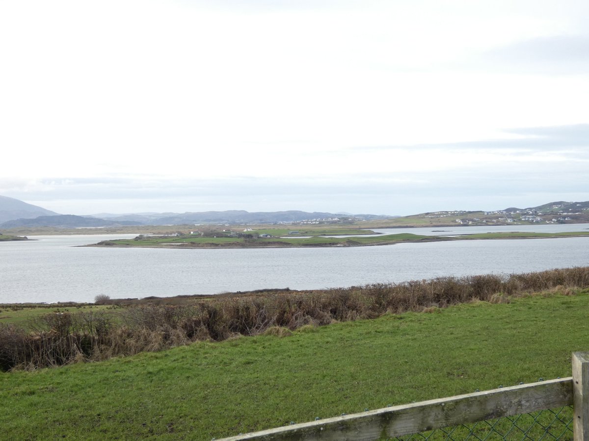 Inish View tweet media