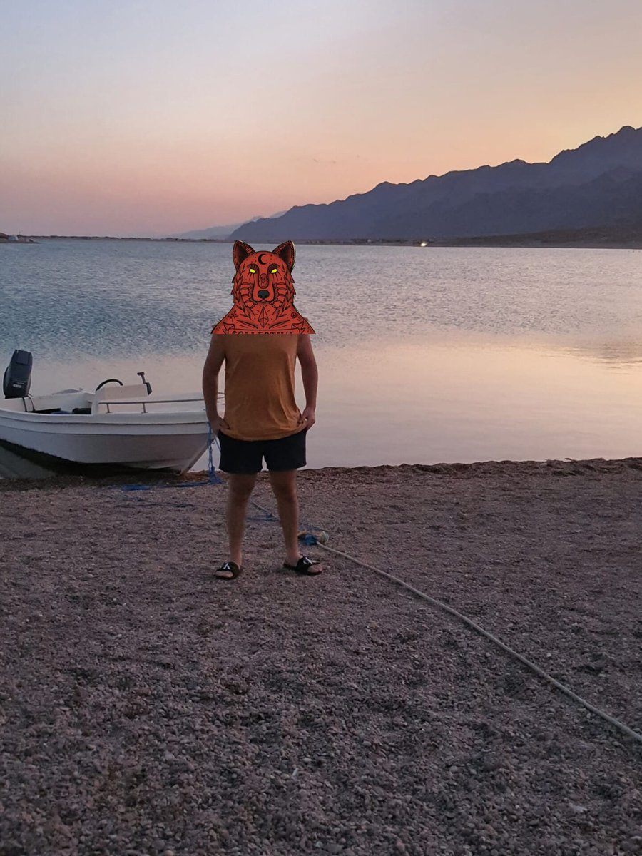 ☠ SH✘2 ☠ tweet media