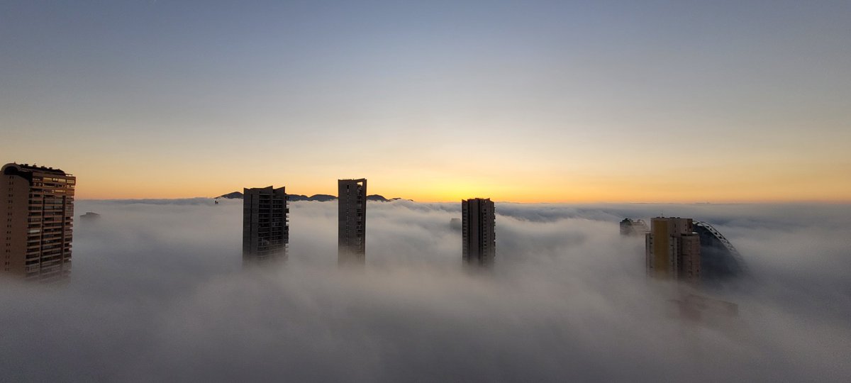 Criptobird1's tweet image. #Benidorm bajo la niebla.