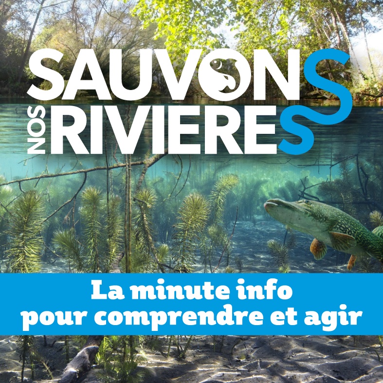 Ca démarre aujourd’hui à la radio !
« Sauvons nos rivières ! La minute info pour comprendre et agir » : un DP sonore signé Seprem Productions poour la Fédération Nationale de la Pêche en France, avec l’Agence Verte
Écoutez ici : soundcloud.com/sauvons-nos-ri…