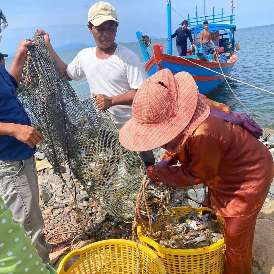 KhmerJourneys's tweet photo. No travel experience is complete without delicious foods. There is no exception with a journey to Kep Province in the South of Cambodia. A highlight in Kep Province where you should make a visit to enjoy mouth-watering, Kampot pepper with crabs is definitely delicious. https://t.co/Njcg4CJTn0
