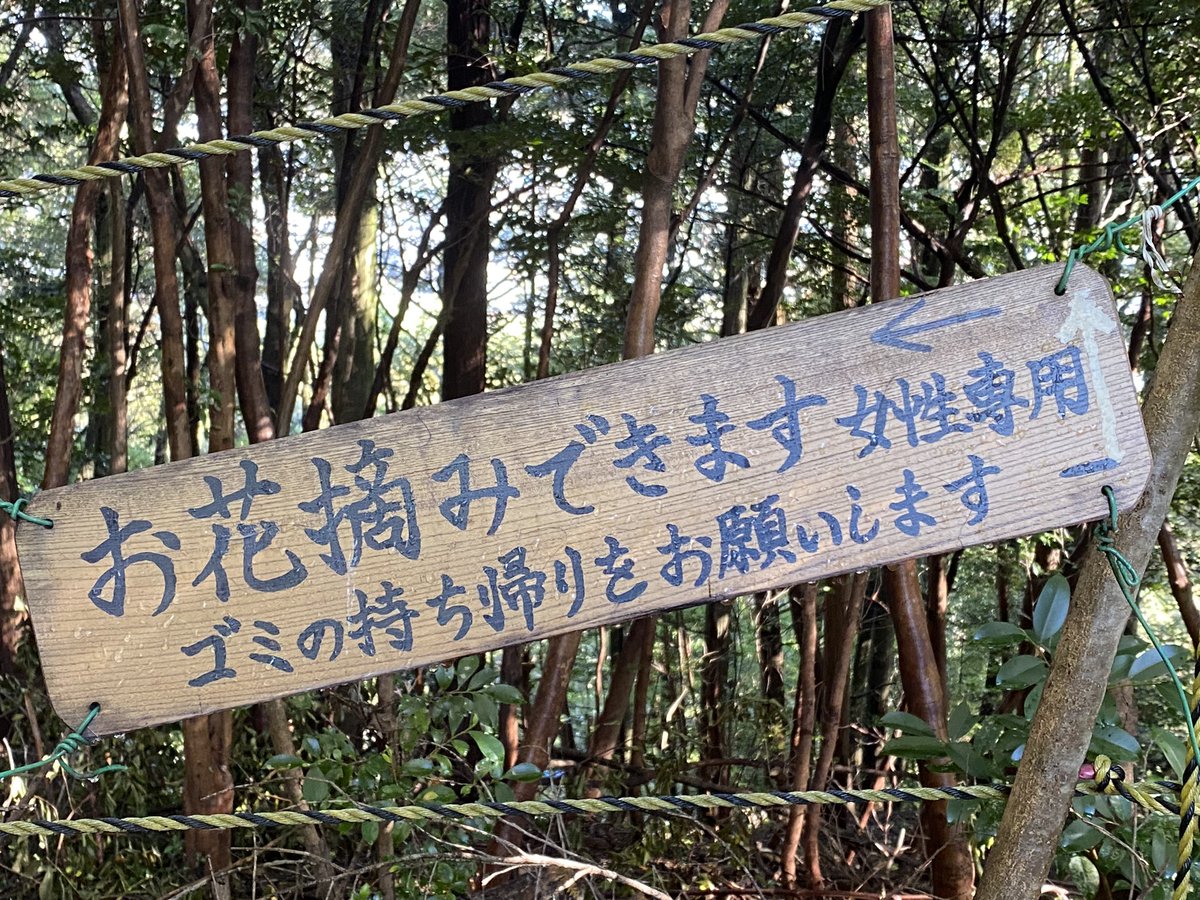 kiyaoshikko's tweet photo. この女子トイレを見たいがために山登りをした。男は入っては駄目なんだろうけど。 https://t.co/UgAlKqnMiM