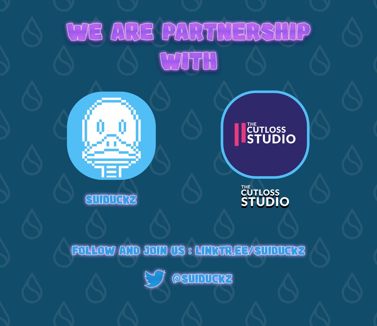 SuiDuckz 🐣🦆🌊 tweet media