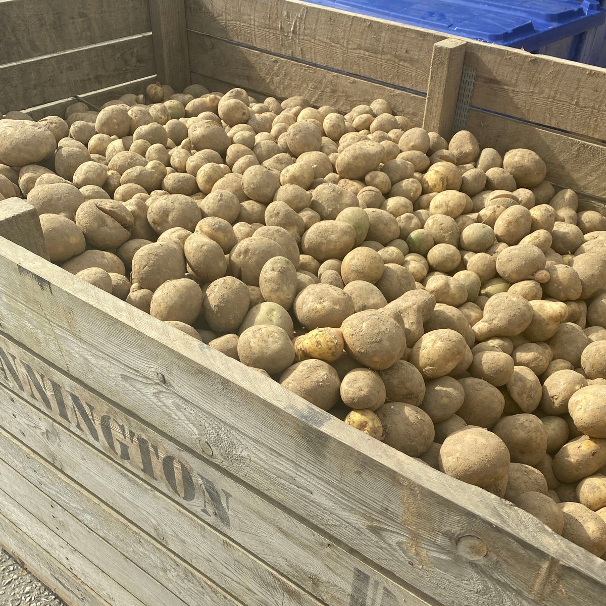 We are hugely grateful to Tom and Mapsons Farm for their ongoing support! So far this year they have donated over 7 tonnes of potatoes - that's a lot of jackets! 

#stopfoodwaste #fightagainstfoodwaste #zerowaste #keepoutoflandfill #foodwaste #foodrescue #environment #charity