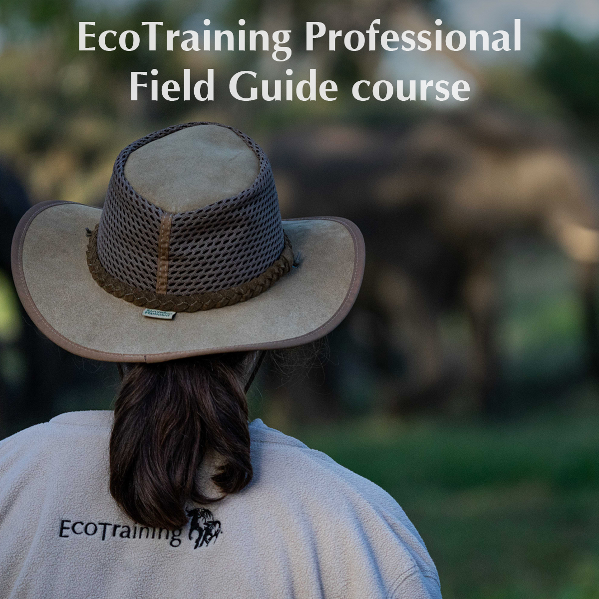 EcoTraining's tweet image. Turn your passion for nature into a career; it’s a life-changing adventure!

Our Professional Field Guide course is #FGASA and CATHSSETA-certified! 

📅 Course date: 3 January – 16 December 2024

E-mail enquiries@ecotraining.co.za or visit: 
👉ow.ly/JU5650PUsGM👈