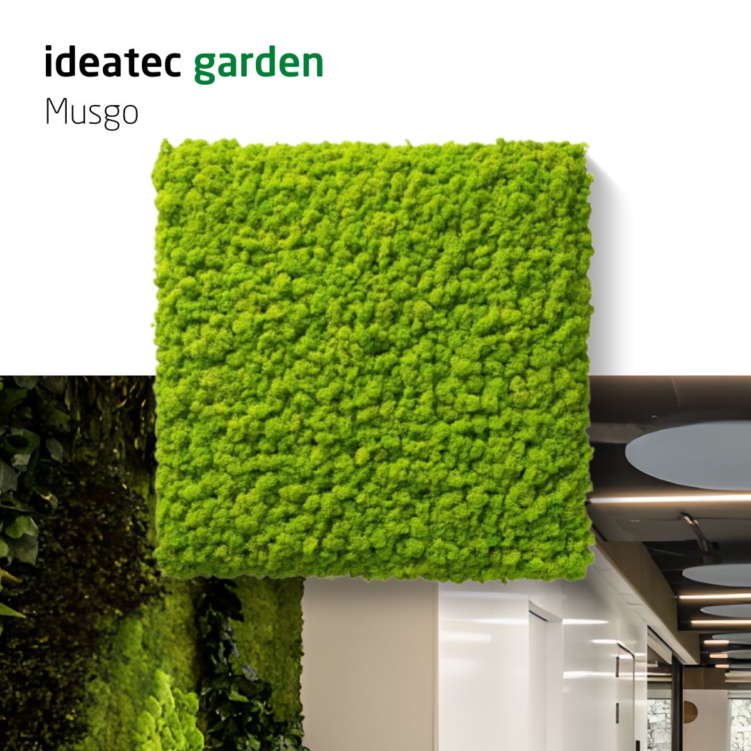 Ideatec_ES's tweet photo. Descubre cómo Ideatec Garden - Modelo Musgo convierte los espacios interiores en lugares acogedores y llenos de bienestar. Aporta la diferencia a los ambientes con la armonía perfecta entre la naturaleza y la comodidad acústica.

#IdeatecGarden #ModeloMusgo #NaturalezaEnCasa https://t.co/KoII9IKPvu