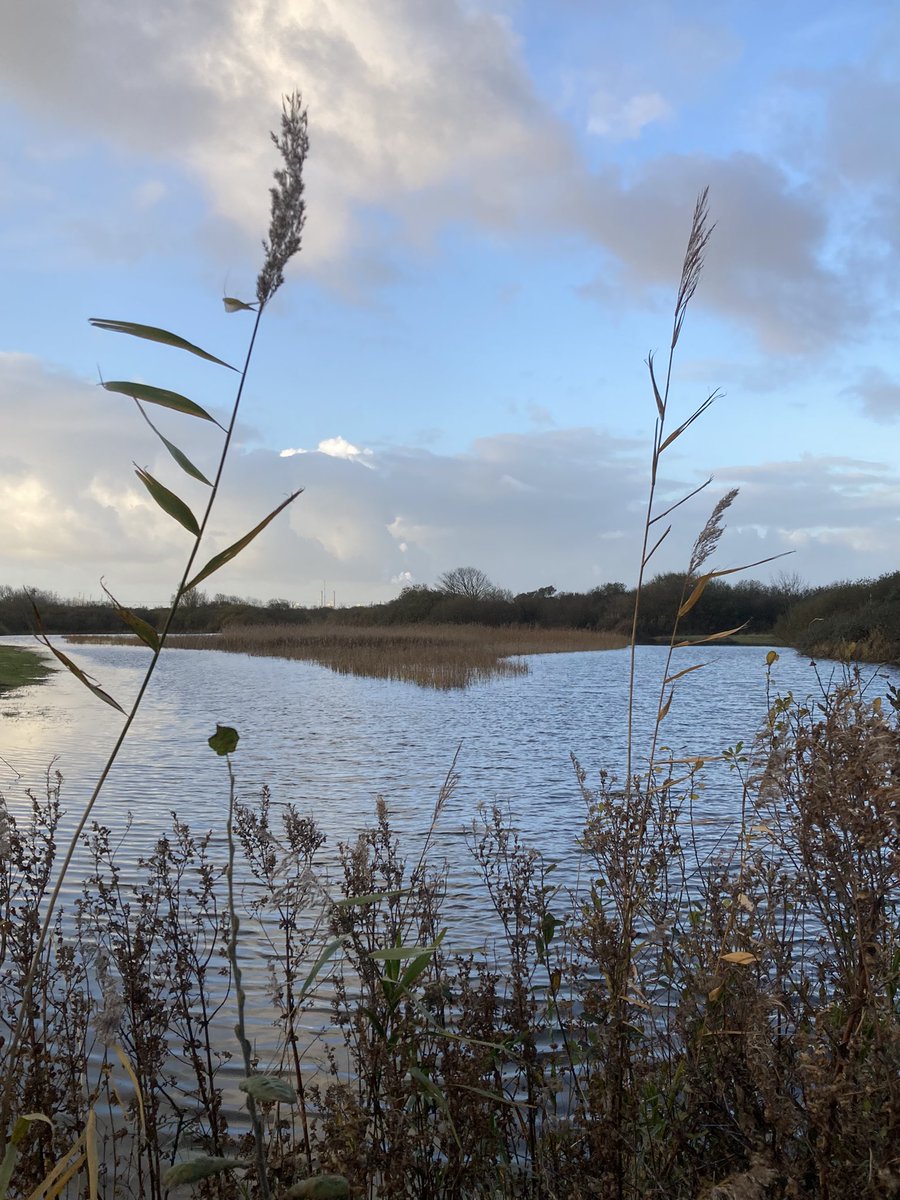 Goedemorgen vanuit de #vandixhoorndriehoek #regiokuststreek <a href="/ZHLandschap/">Zuid-Hollands Landschap</a>