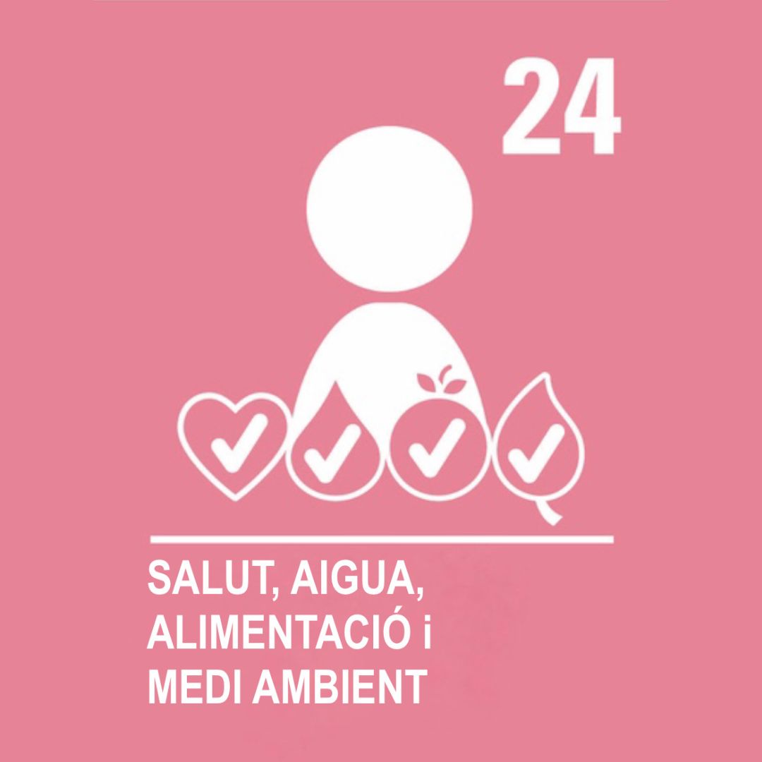 Arxiu_Andorra's tweet photo. 🌍 El Dia Mundial de la Infància és la jornada d'acció mundial d'UNICEF, celebrada el 20 de nov per commemorar l'aniversari de l'adopció de la Convenció sobre els Drets de l'Infant 📷 Hem escollit aquest nen a la pica de la cuina, foto de Josep Alsina FAM_3316, i el dret 24.📸 https://t.co/Ln3wgE6lcT