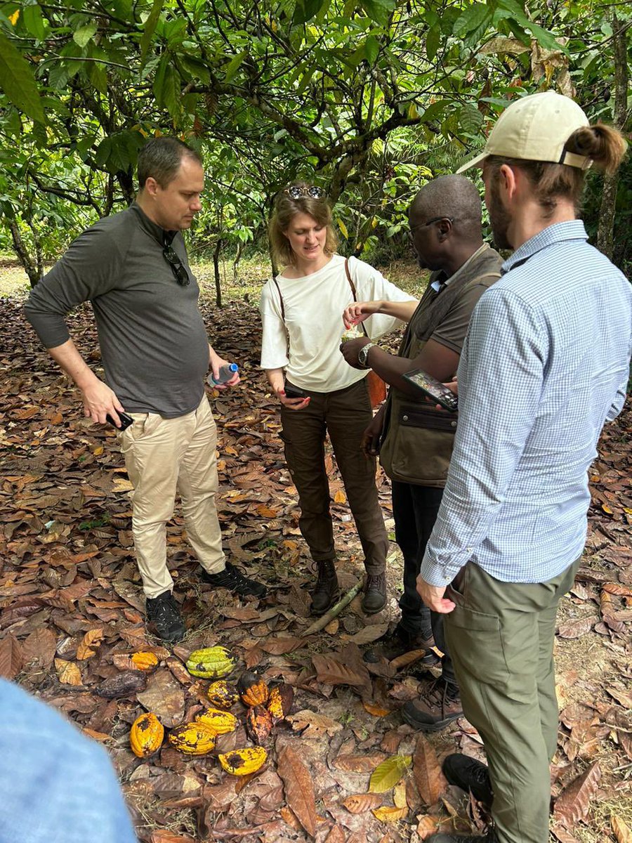 AmbWestAfricaSE's tweet photo. Nouvelle coopération entre #Suède et la #cotedivoire 🇨🇮🇸🇪pour réduire les émissions de gaz à effet de serre. 
Merci Ministère de l’environnement et le développement durable et @GggiCotedivoire pour l’accueil de notre Agence de l’ Énergie! https://t.co/OrCmtML5nH