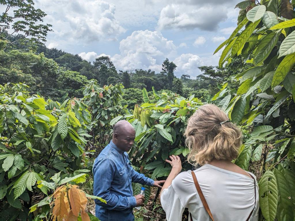 AmbWestAfricaSE's tweet photo. Nouvelle coopération entre #Suède et la #cotedivoire 🇨🇮🇸🇪pour réduire les émissions de gaz à effet de serre. 
Merci Ministère de l’environnement et le développement durable et @GggiCotedivoire pour l’accueil de notre Agence de l’ Énergie! https://t.co/OrCmtML5nH