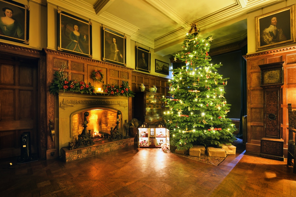 southeastNT's tweet photo. With glittering trees and roaring fires, our places in Kent are beautifully dressed for Christmas and ready to welcome you:> https://t.co/q6hs9wCYbE
#ChartwellNT #KnoleNT #NTIghthamMote #ScotneyCastleNT
#📷️ ©️ NTI / John Millar & Meghan Taylor
https://t.co/kgauXngrye
