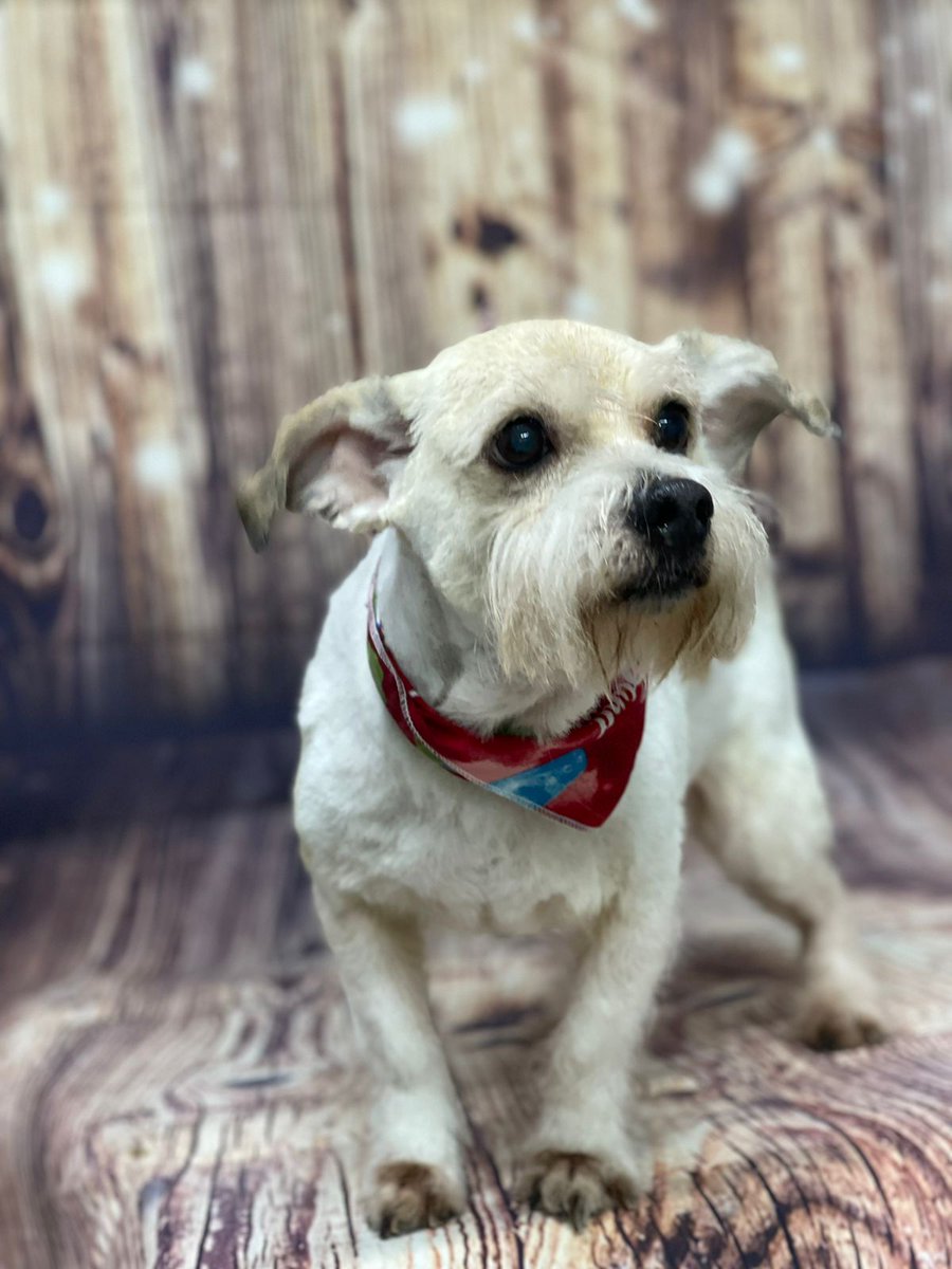 Vuela alto mi peque 🕊