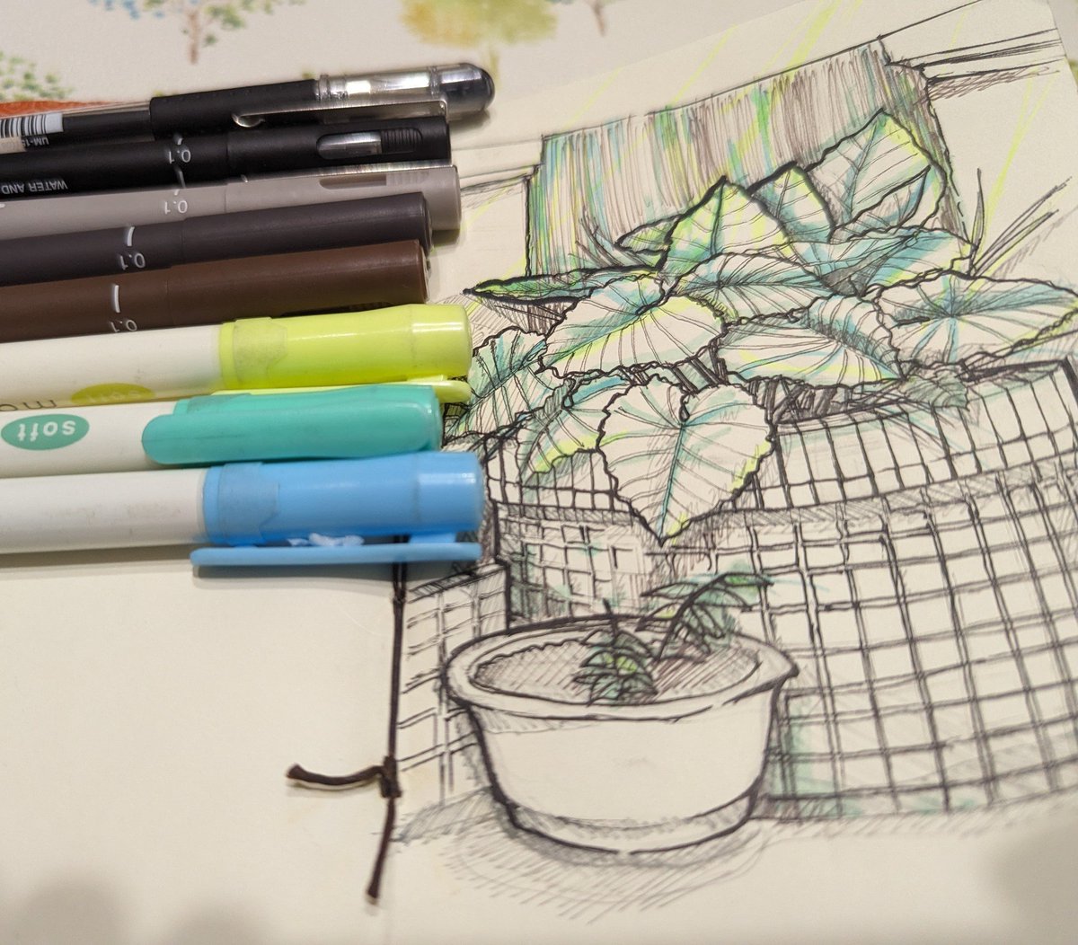 sketch of my garden

#sketch #スゲっち
#Practice 
#Pens #ボールペン画
#highlighter #蛍光ペン
#Technicalpen #マッキー
#radom