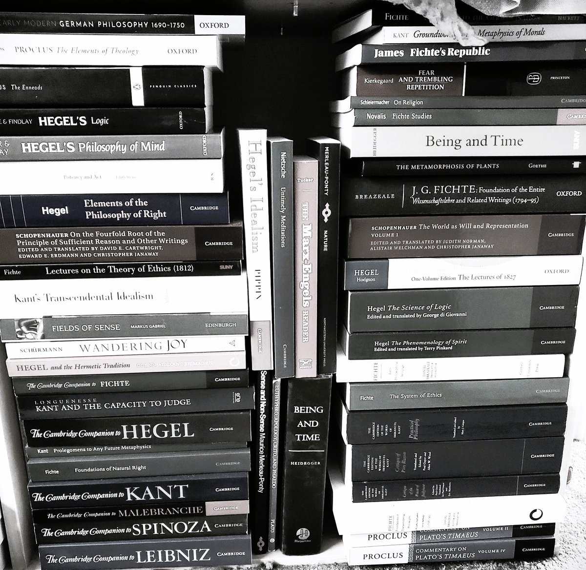 aufgehenderRest's tweet photo. Some people prefer riches, while others wish to travel. Some want sports cars while others want fame. Some people wish for many friends, while others want romantic partners. Some people love the great outdoors, while others love sports. But I just love books. https://t.co/MkpMqTs3k5