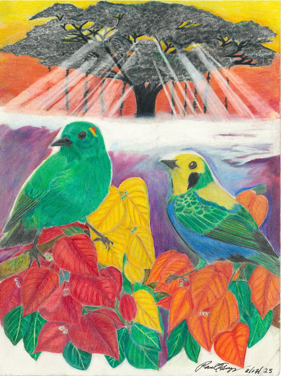 My latest: Glistening Green and Multicolor Tanagers & Bougainvillea Flowers (reference photo for birds by Javier Zurita, with permission) #BirdsUp #artist @Doug35mmGraves @ga_gagarin @shanghaibirds