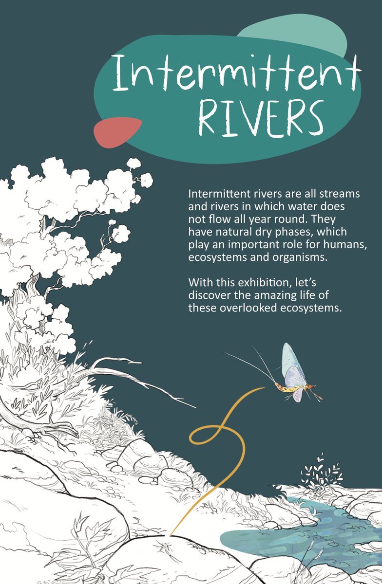 Explore the world of #IntermittentRivers!
<a href="/INRAE_France/">INRAE</a> created a graphical exhibition spotlighting drying rivers with the aim of bridging the gap between science and society. Immerse yourself in the exhibition here:
dryver.eu/media/intermit…