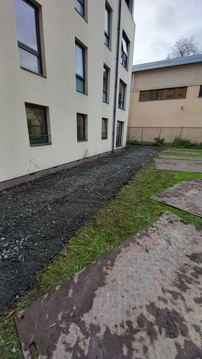 Brian Carmichael tweet media