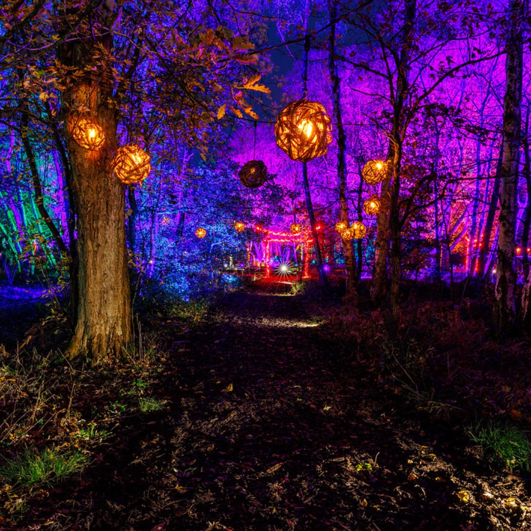 RHSBridgewater's tweet photo. The @rhsbridgewater Chinese Streamside Garden looks like a fairytale at this year's  #RHSGlow 🎇 

There's a little bit of sparkly magic everywhere you look 😍 

Book today: https://t.co/rH3otG2xPI

(📷 Derek Stuart-Cole) https://t.co/T2fBuslif0