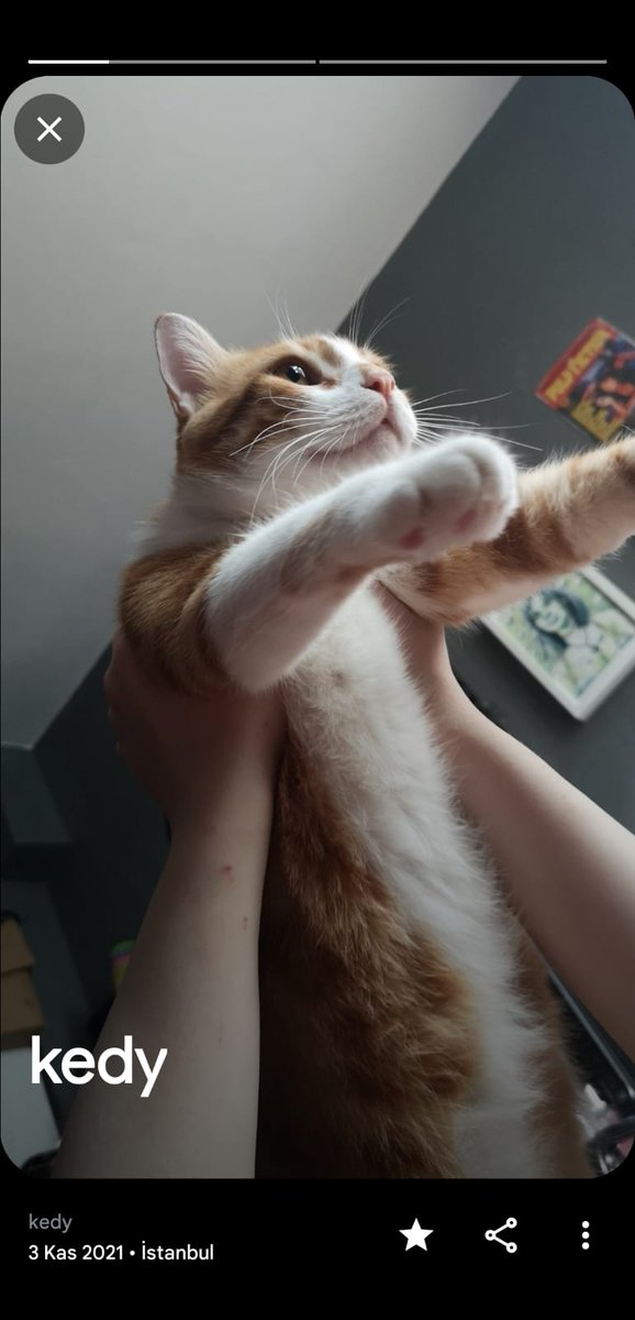 Miss Phase (COMMs closed) tweet media