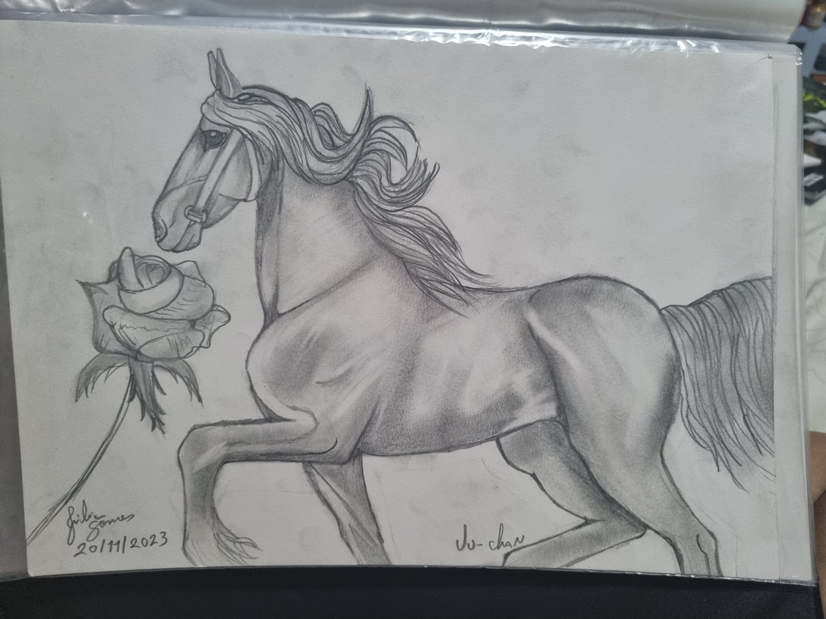 A friesian 
#horse #drawingart #drawing #handmade #friesianhorse