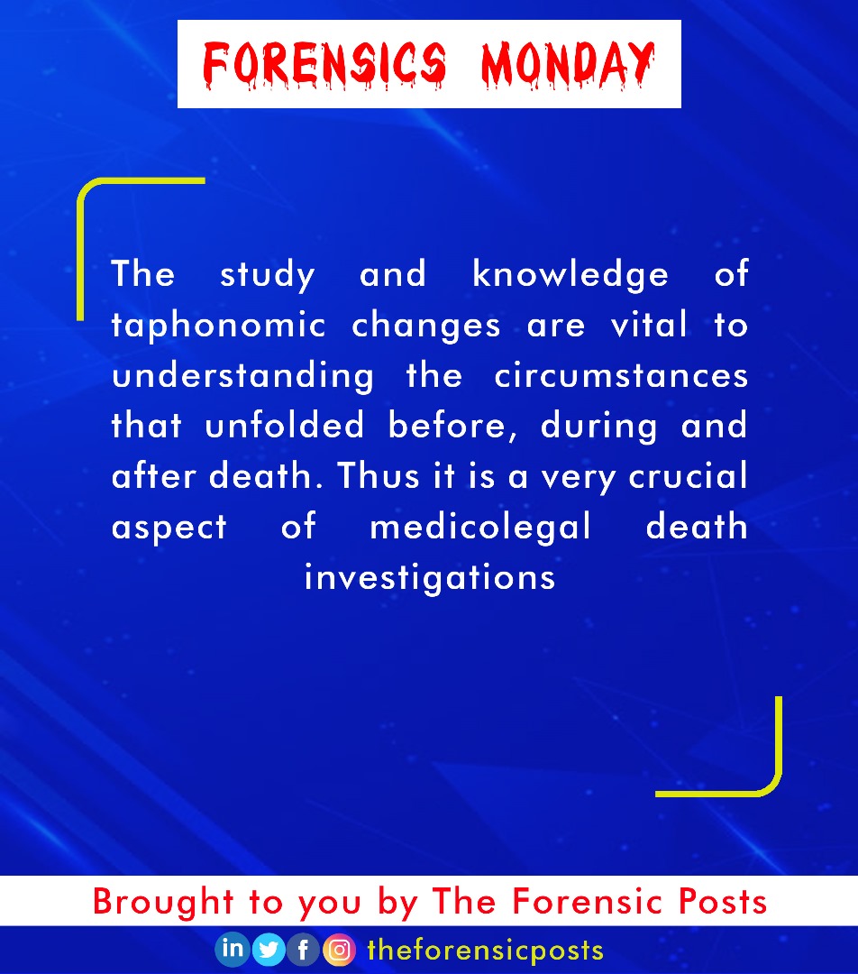 ForensicPosts's tweet image. #ForensicTaphonomy #MedicolegalCases #MedicolegalDeathInvestigations #TaphonomicChanges #TheForensicPosts #TFP #CSI