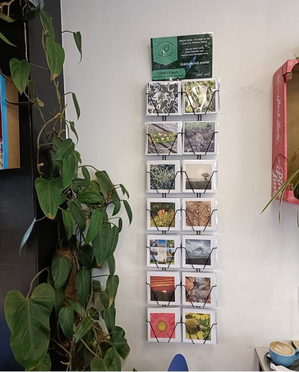 Need a quick card? 
Jess & Jimmy's Cafe on Cowick Street has my cards for sale.  

 #nature #devon #naturephotography #exeter #marcusbrownphotography #stthomasexeter #bringnaturein