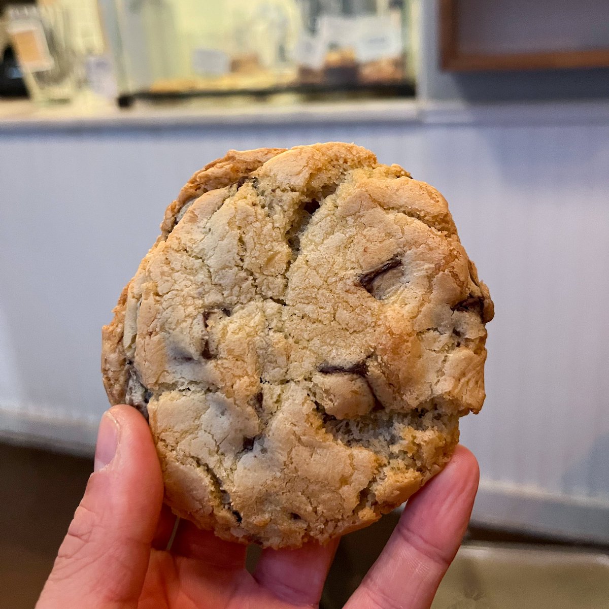 Joe Thompson-Oubari tweet media