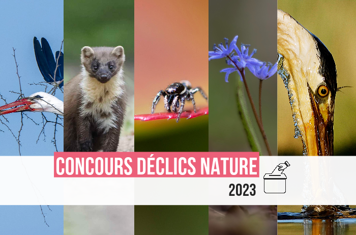 Bourgogne-Franche-Comté Nature tweet media