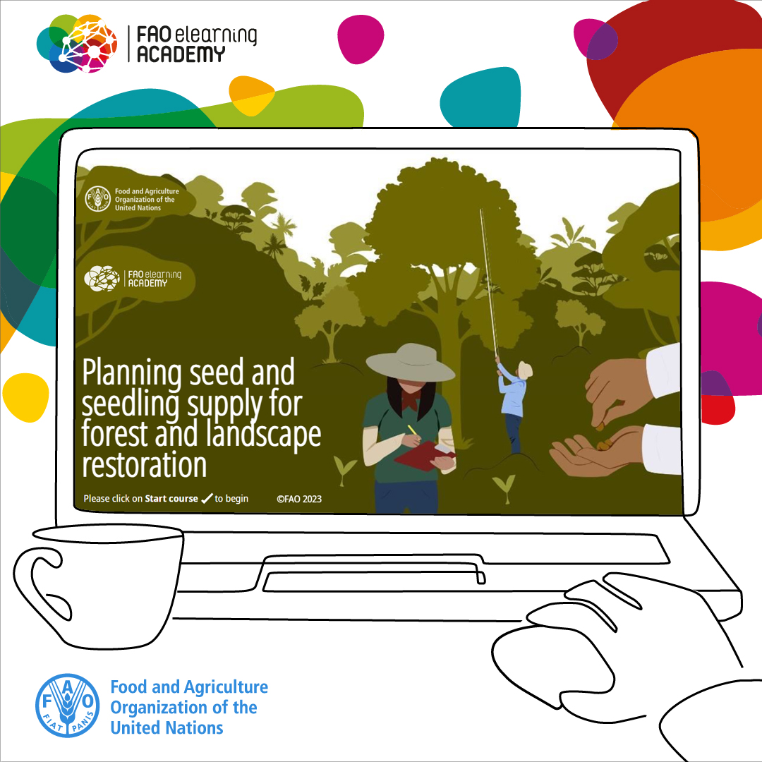 Take a new free elearning course from <a href="/FAO/">Food and Agriculture Organization</a> and <a href="/BiovIntCIAT_eng/">Alliance of Bioversity International and CIAT</a> !

Planning seed and seedling supply for forest and landscape restoration

Enrol now - digital badge certification available!

👉 bit.ly/3Q0tn4k 

#GenerationRestoration