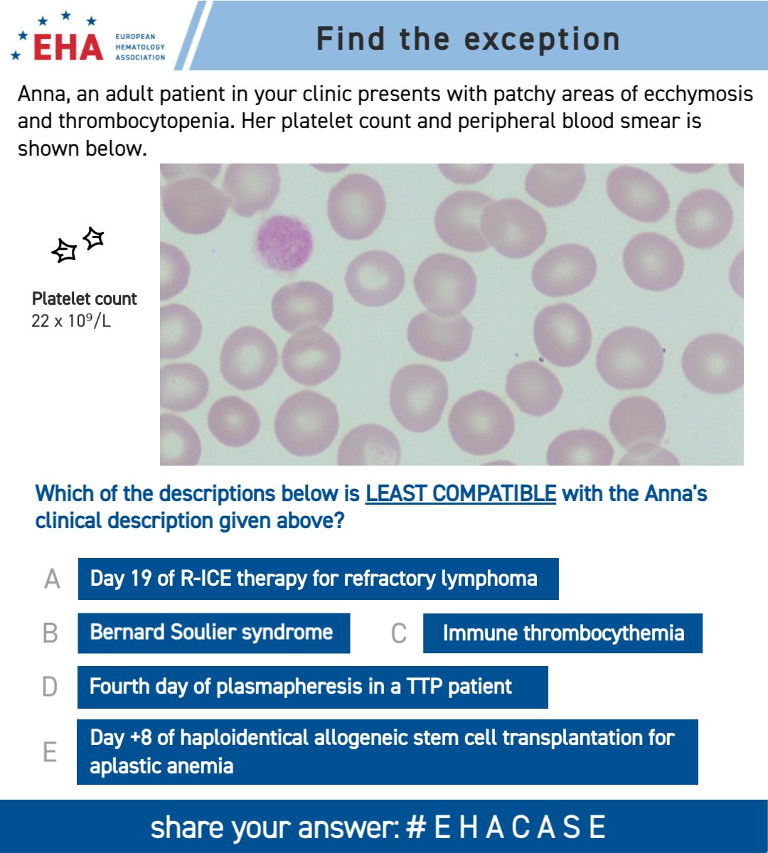 European Hematology Association tweet media