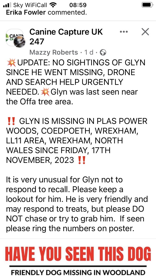 oldandfeelit's tweet photo. @wrexham #Glyn #black #spaniel is #Stillmissing since 17/11/23 #PlasPower area #Coedpoeth #nosightings despite searching every day for him π
If spotted call owners number on his poster, thanks ππΌ https://t.co/bg6Q1ruekL