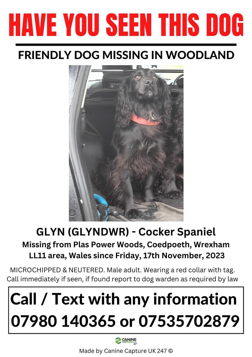 oldandfeelit's tweet photo. @wrexham #Glyn #black #spaniel is #Stillmissing since 17/11/23 #PlasPower area #Coedpoeth #nosightings despite searching every day for him π
If spotted call owners number on his poster, thanks ππΌ https://t.co/bg6Q1ruekL