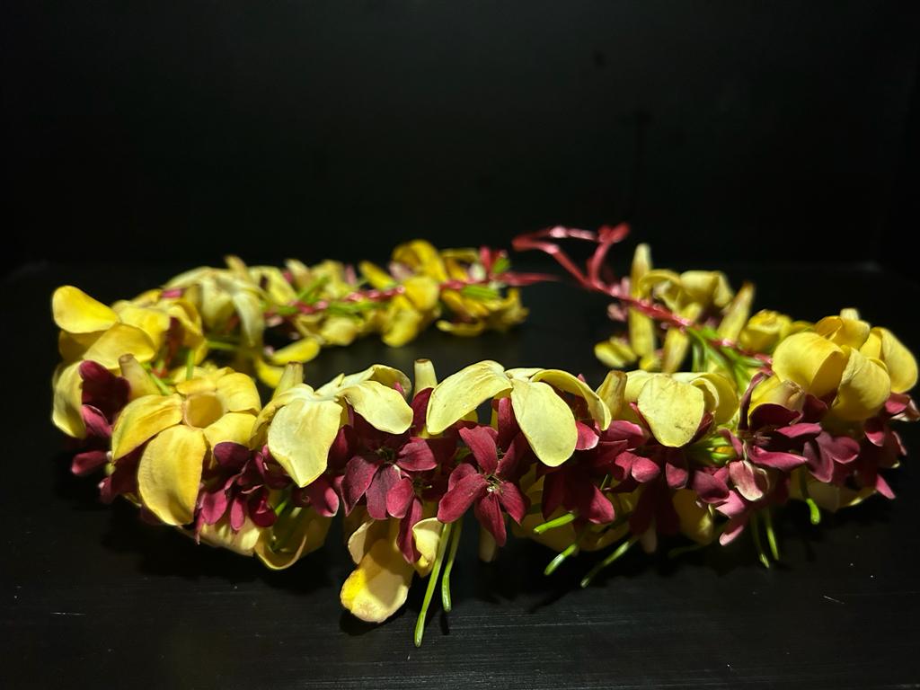 Back from #Tonga.
Learnt so much.
Next thesis in the making....
Just the small matter of the existing one to crack on with this week!

Thanks to <a href="/CurriculumFdn/">CurriculumFoundation</a> <a href="/EdD_IOE/">Doctor in Education (EdD) at IOE</a> @miriched colleagues for the questions, reflections &amp; perspectives for a brighter and tighter story to tell. 🌿