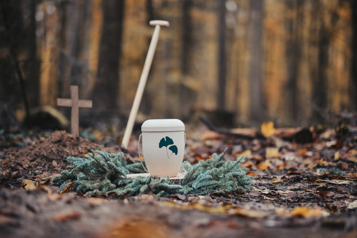 hasepost's tweet image. Was ist das Besondere am FriedWald in Bramsche? Antworten auf diese Frage gibt es bei eine kostenlosen Waldführung am kommenden Samstag ... – Ohne Abo lesbar - immer! #bramsche #friedwald #bestattungskultur

hasepost.de/waldfuehrung-d…