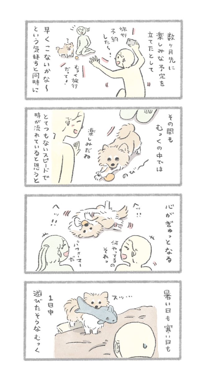 ねえ、むっく 