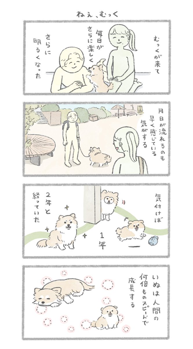 ねえ、むっく 