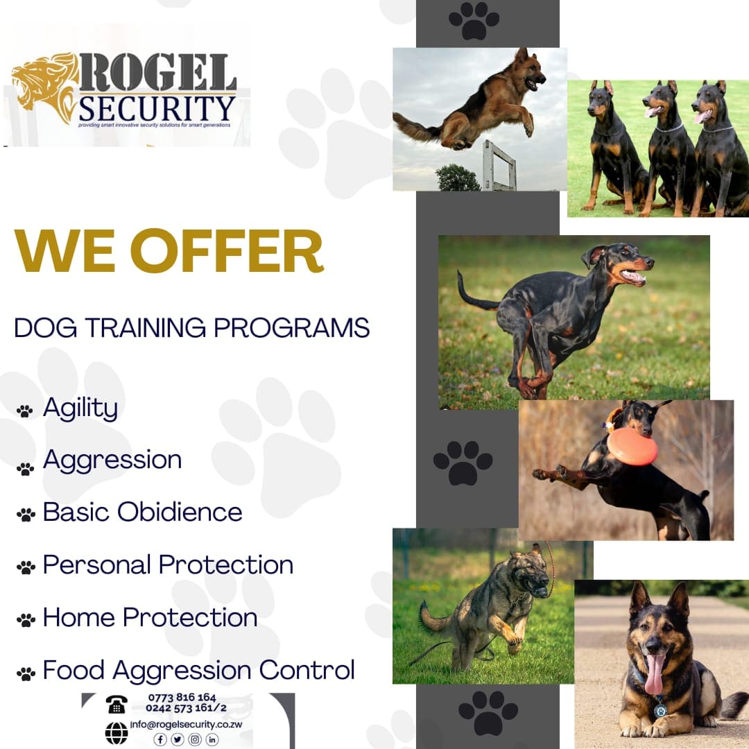 We offer boarding services for security dogs, do not hesitate to contact us on 242 573161/2 or 0773816164
#securitydog
#dogtraining
#boardingservices