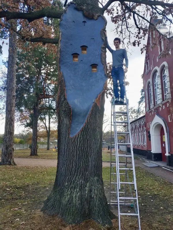 hmaro4os's tweet photo. 🦇 В Боярці врятували 260-ти річний дуб. В ньому зробили житло для кажанів #Boyarka #Boiarka #Ukraine 

Операція з порятунку дуба була розтягнута на два роки. Через розвиток патогенного гриба дерево прогнило і частина стовбура відвалилась. https://t.co/e8IP1xnne0