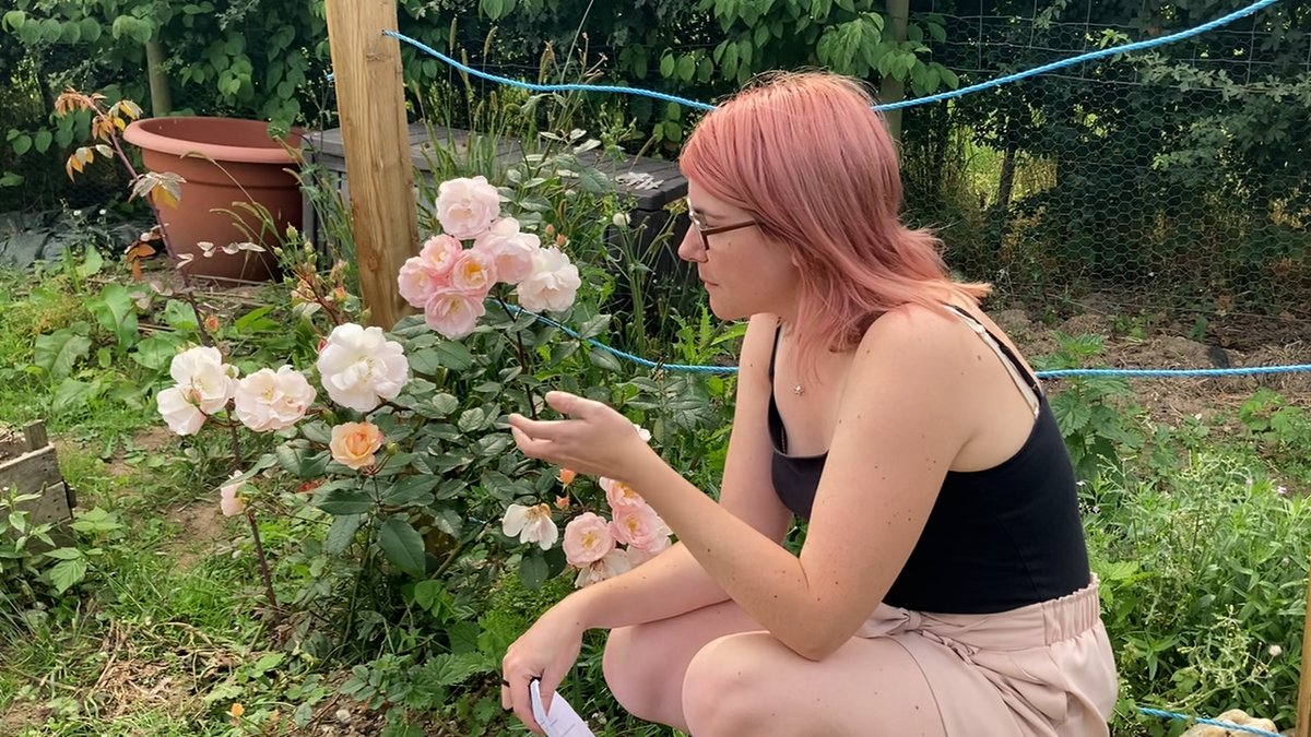 Surrey Archaeology tweet media