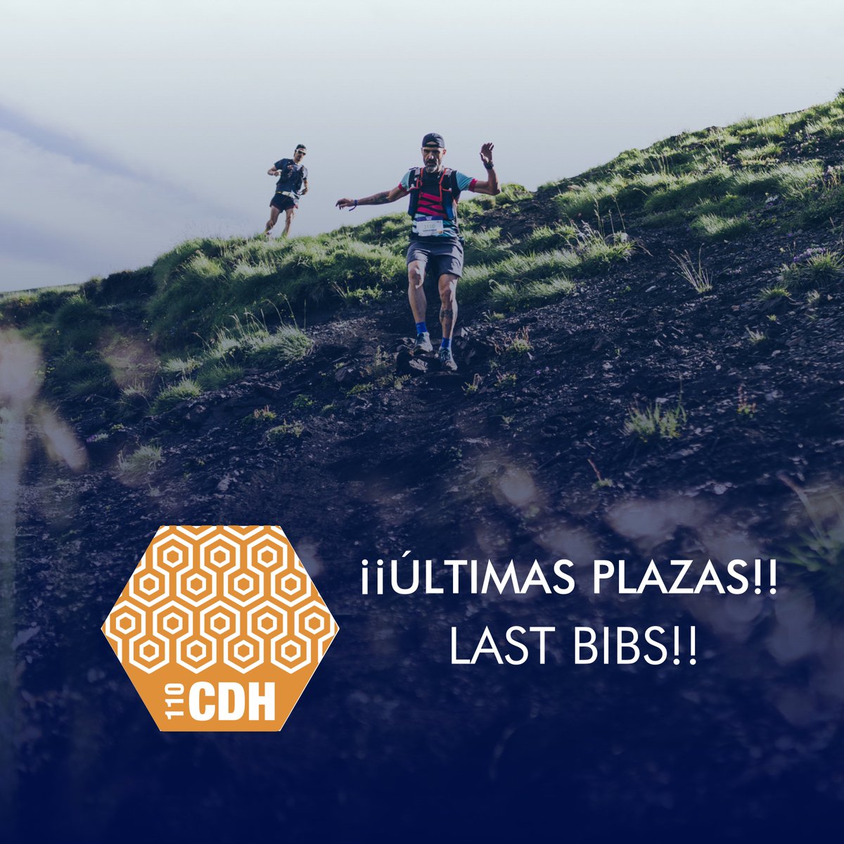 HOKA Val d'Aran by UTMB® tweet media