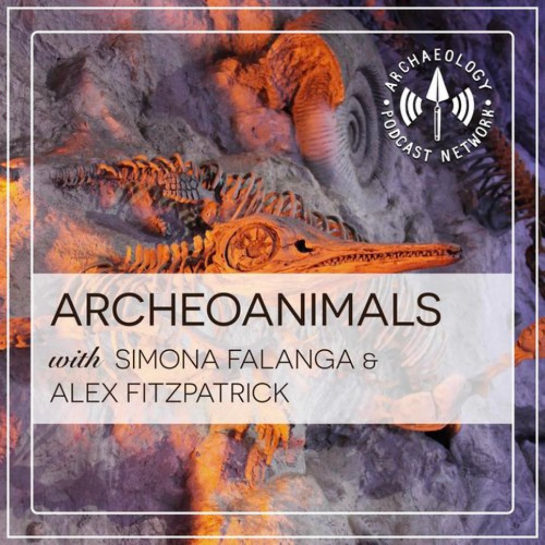 Archaeology Podcast Network tweet media