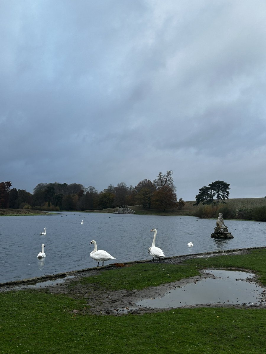ParizeCody's tweet photo. @PetworthNT 
#petworth
#weekend
#deerpark https://t.co/1AiY833WFe