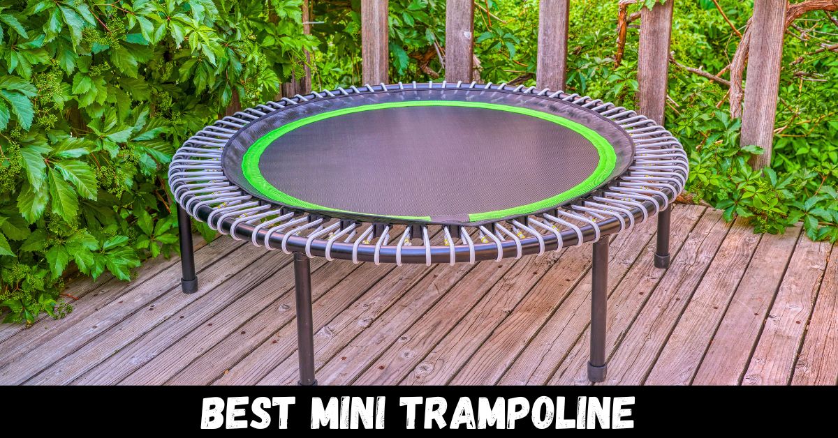 Trampoline Mind (@trampolnemind) / Posts / X