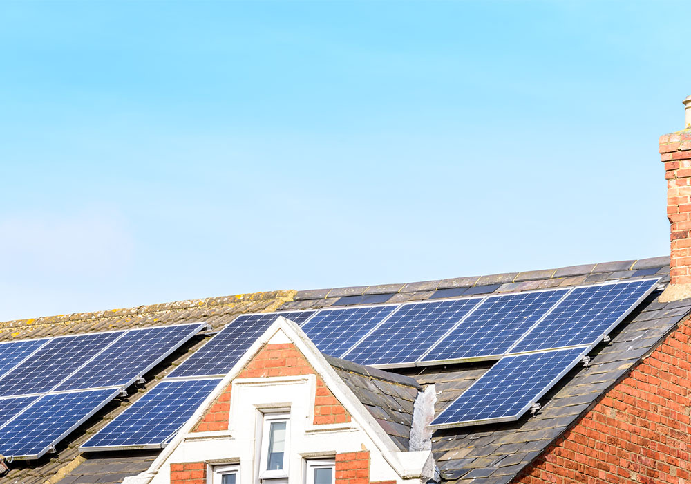 TheMeshCompany's tweet image. ⭐⭐⭐⭐⭐
PIGEONS UNDER YOUR PANELS? DISCOVER WHY SOLAR MESH IS A MUST!
LINK: themeshcompany.com/pigeons-under-…
#SolarMesh #Mesh