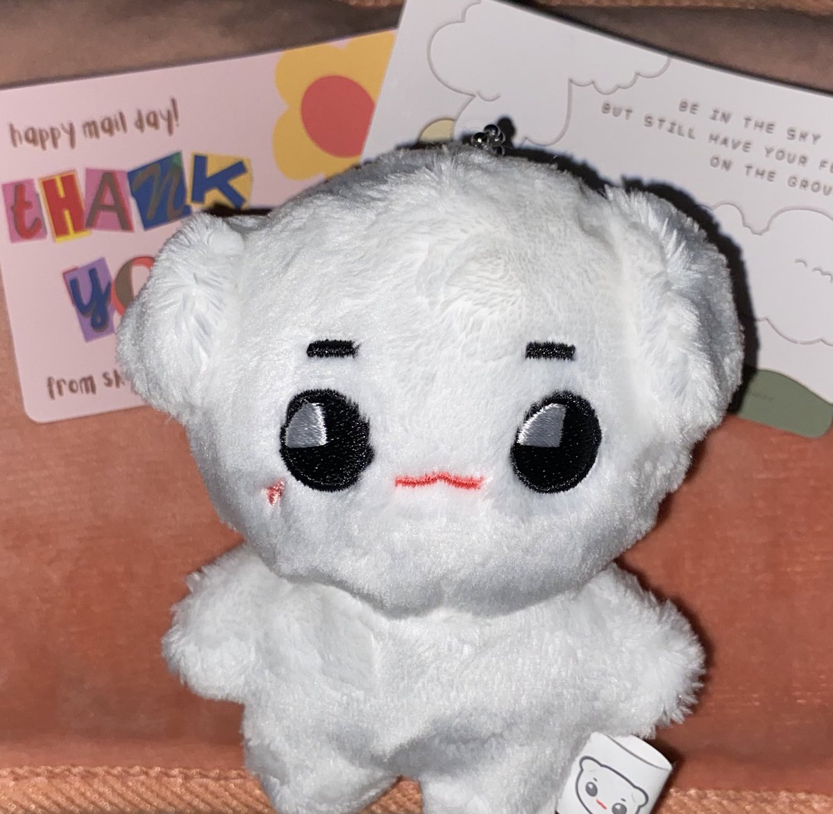 oxobasket's tweet photo. tyongya arrived today! thank you so much po 💖 @yellow323cart 

#323thanks https://t.co/0Z6kfbbEzU