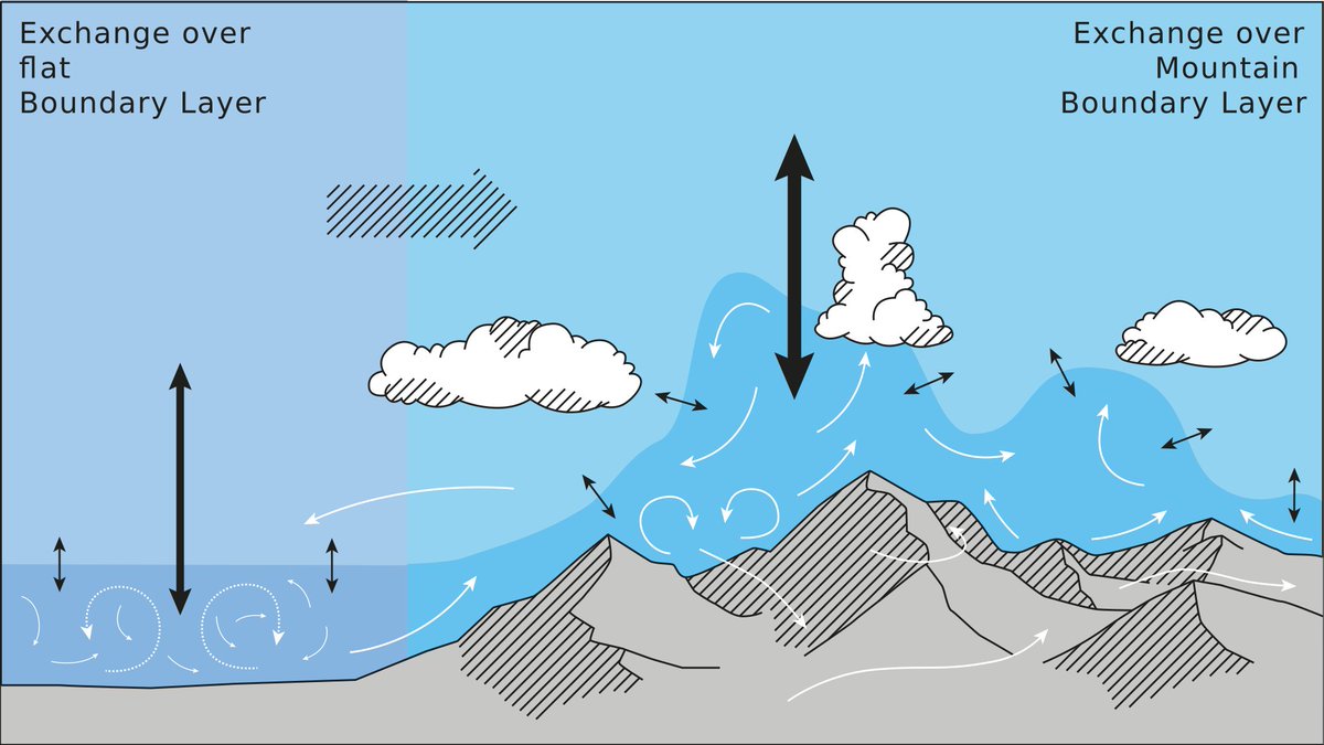 Miguel Teixeira tweet media